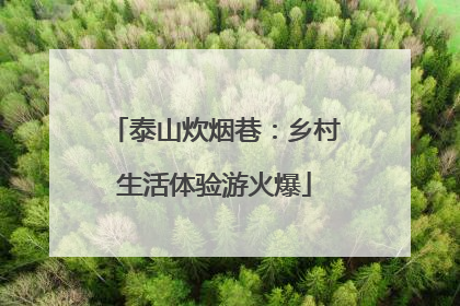 泰山炊烟巷：乡村生活体验游火爆