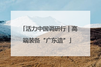 活力中国调研行｜高端装备“广东造”