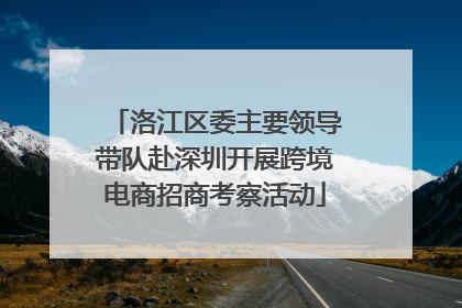 洛江区委主要领导带队赴深圳开展跨境电商招商考察活动