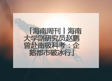海南周刊丨海南大学副研究员赵鹏曾赴南极科考：企鹅都市破冰行