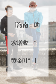 海南：助农增收 “黄金叶”