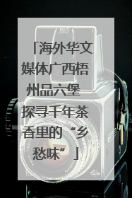 海外华文媒体广西梧州品六堡 探寻千年茶香里的“乡愁味”