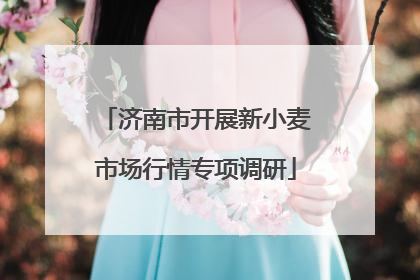 济南市开展新小麦市场行情专项调研