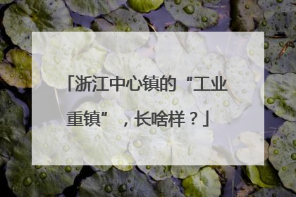 浙江中心镇的“工业重镇”，长啥样？