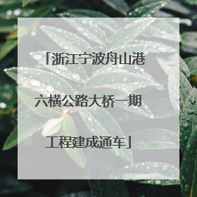 浙江宁波舟山港六横公路大桥一期工程建成通车