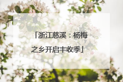 浙江慈溪：杨梅之乡开启丰收季