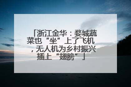 浙江金华：婺城蔬菜也“坐”上了飞机，无人机为乡村振兴插上“翅膀”