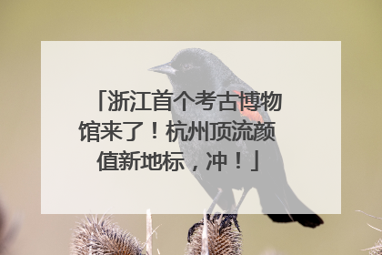 浙江首个考古博物馆来了！杭州顶流颜值新地标，冲！