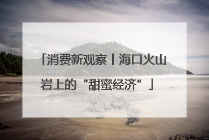消费新观察丨海口火山岩上的“甜蜜经济”
