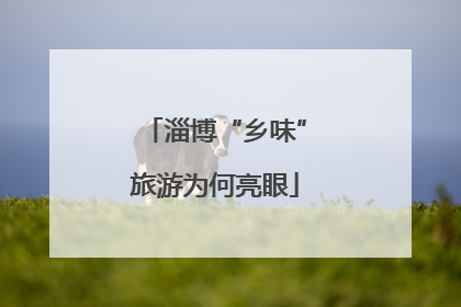 淄博“乡味”旅游为何亮眼