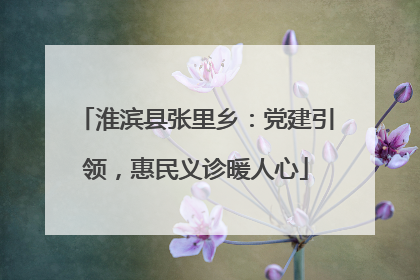 淮滨县张里乡：党建引领，惠民义诊暖人心