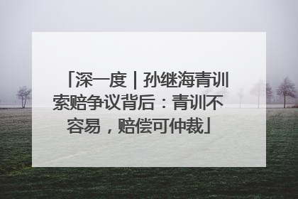 深一度｜孙继海青训索赔争议背后：青训不容易，赔偿可仲裁