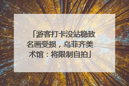 游客打卡没站稳致名画受损，乌菲齐美术馆：将限制自拍