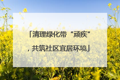 清理绿化带“顽疾”，共筑社区宜居环境