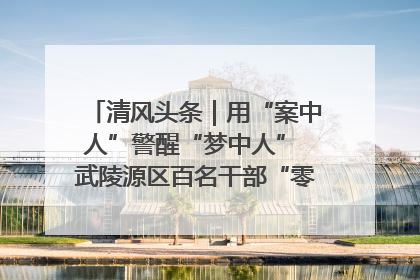 清风头条｜用“案中人”警醒“梦中人” 武陵源区百名干部“零距离”接受警示教育
