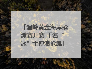 温岭黄金海岸抢滩赛开赛 千名“泳”士搏浪抢滩