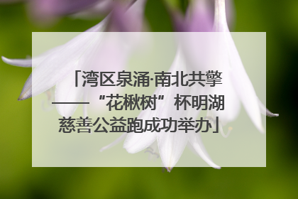 湾区泉涌·南北共擎——“花楸树”杯明湖慈善公益跑成功举办