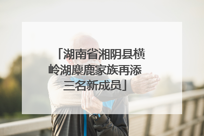 湖南省湘阴县横岭湖麋鹿家族再添三名新成员