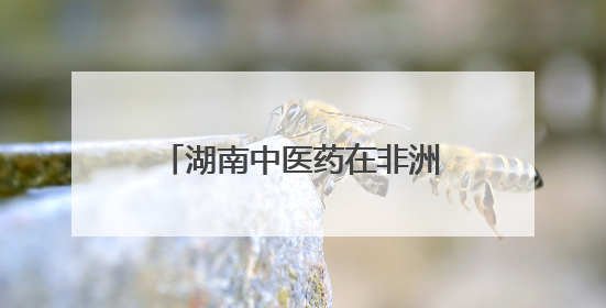 湖南中医药在非洲③｜跨越山海，中医药文化浸润非洲