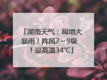 湖南天气：局地大暴雨！阵风7～9级！最高温34℃