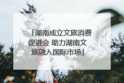湖南成立文旅消费促进会 助力湖南文旅融入国际市场