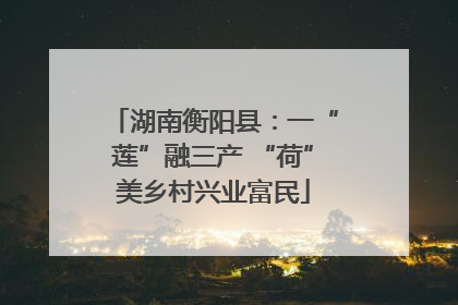 湖南衡阳县：一“莲”融三产 “荷”美乡村兴业富民