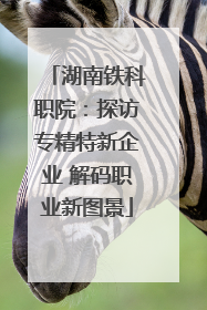 湖南铁科职院：探访专精特新企业 解码职业新图景