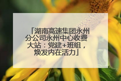 湖南高速集团永州分公司永州中心收费大站：党建+班组，焕发内在活力