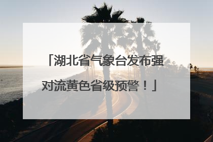 湖北省气象台发布强对流黄色省级预警！