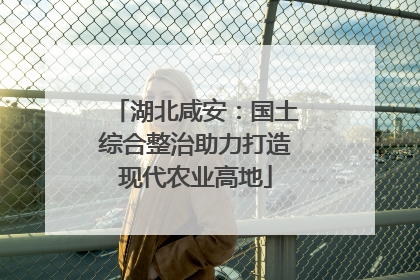 湖北咸安：国土综合整治助力打造现代农业高地
