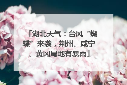 湖北天气：台风“蝴蝶”来袭，荆州、咸宁、黄冈局地有暴雨