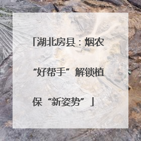 湖北房县：烟农“好帮手”解锁植保“新姿势”