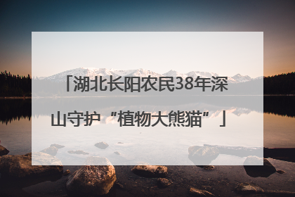 湖北长阳农民38年深山守护“植物大熊猫”
