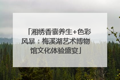 湘绣香囊养生+色彩风暴：梅溪湖艺术博物馆文化体验盛宴