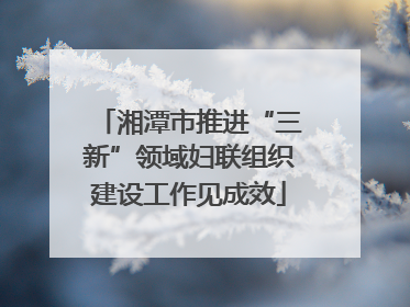 湘潭市推进“三新”领域妇联组织建设工作见成效