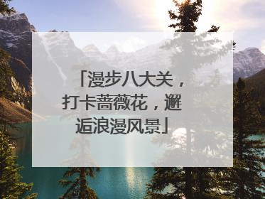 漫步八大关，打卡蔷薇花，邂逅浪漫风景
