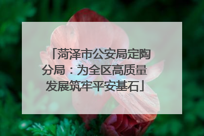 菏泽市公安局定陶分局：为全区高质量发展筑牢平安基石