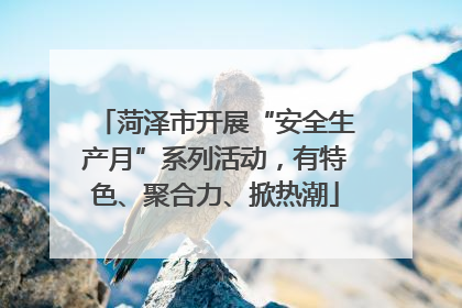菏泽市开展“安全生产月”系列活动，有特色、聚合力、掀热潮