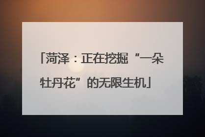 菏泽：正在挖掘“一朵牡丹花”的无限生机