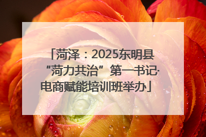 菏泽：2025东明县“菏力共治”第一书记·电商赋能培训班举办