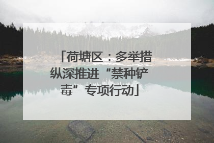 荷塘区：多举措纵深推进“禁种铲毒”专项行动