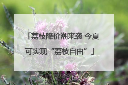 荔枝降价潮来袭 今夏可实现“荔枝自由”