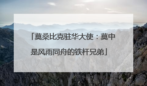 莫桑比克驻华大使：莫中是风雨同舟的铁杆兄弟