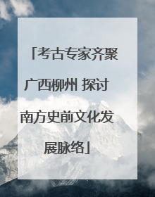 考古专家齐聚广西柳州 探讨南方史前文化发展脉络