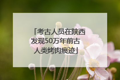 考古人员在陕西发现50万年前古人类烤肉痕迹
