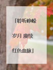 聆听峥嵘岁月 赓续红色血脉