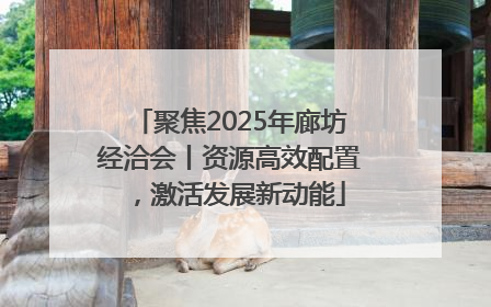 聚焦2025年廊坊经洽会丨资源高效配置，激活发展新动能