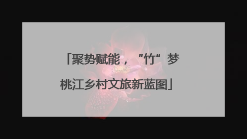 聚势赋能，“竹”梦桃江乡村文旅新蓝图