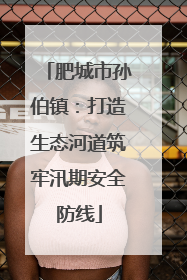 肥城市孙伯镇：打造生态河道筑牢汛期安全防线