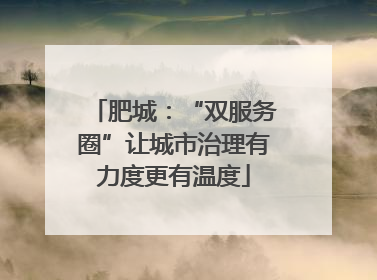 肥城：“双服务圈”让城市治理有力度更有温度